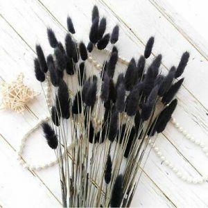 Bunny Tail Grass Dried Natural Pampas Grass Flowers Home Decoration Accessories
