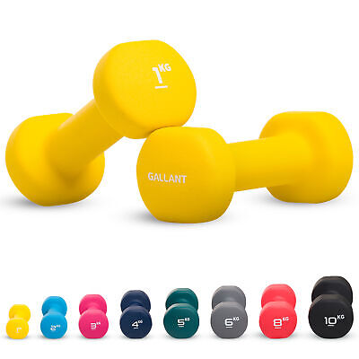 Neoprene Dumbbells Weights Pair Exercise Iron Hand Set Home Gym Fitness Aerobic