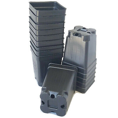 2.5 inch Square Deep Nursery Pot - SET OF 100 - {2.6" x 3.5"} plastic flower