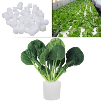 online store GARDEN 50 pcs starter plugs Grow Sponge Bulk Planting Sponge Sponges Moisturized